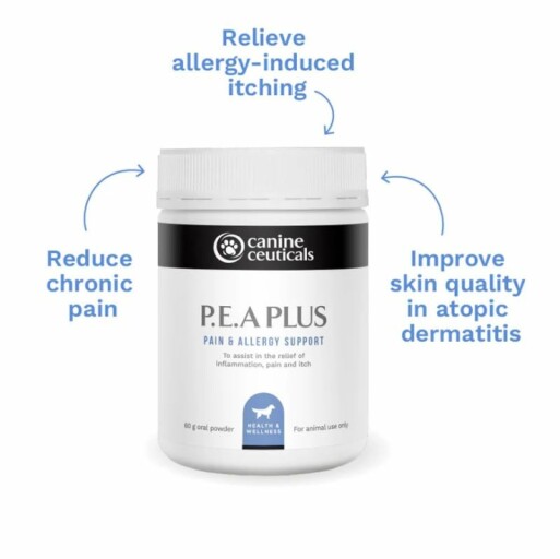 P.E.A Plus (120G)