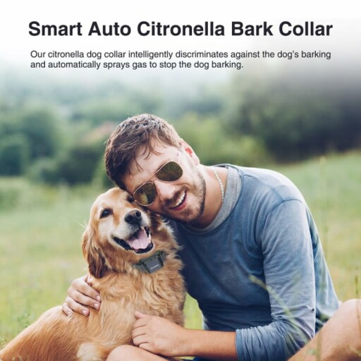 A close-up of the Citronella Bark Collar on a dog's neck.
