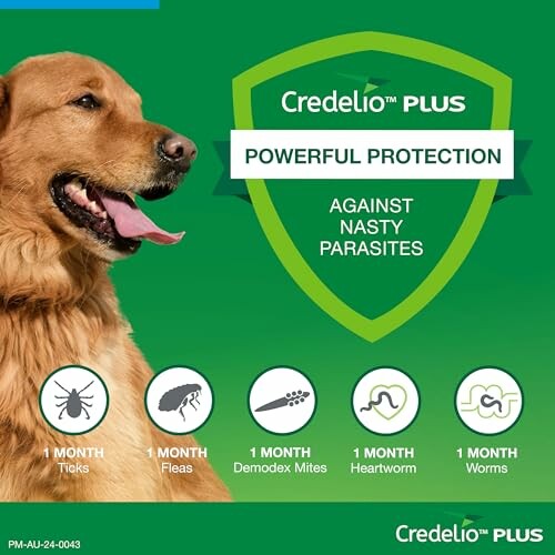 Credelio Plus protection for dogs against ticks, fleas, mites, heartworm, and worms.