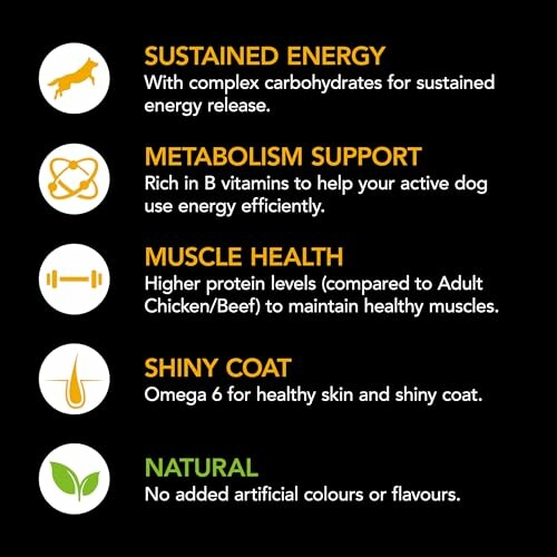 Infographic of dog food benefits: sustained energy, metabolism support, muscle health, shiny coat, natural ingredients.