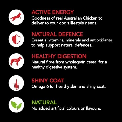Dog food benefits: active energy, natural defense, healthy digestion, shiny coat, natural ingredients.