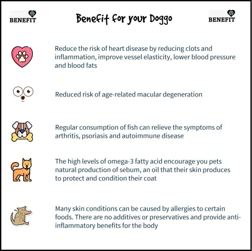 Infographic on health benefits for dogs, including heart health, macular degeneration, inflammation relief, omega-3s, and skin condition improvement.