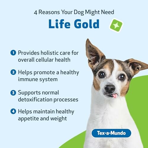 Dog with reasons to use Life Gold for health benefits.