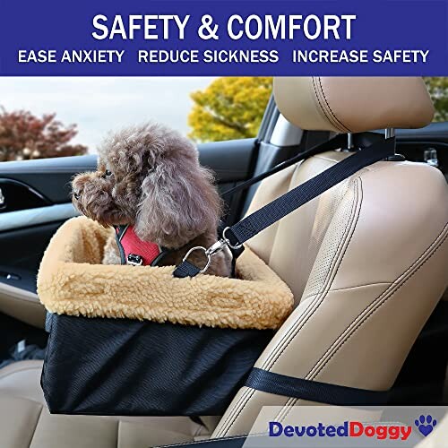 Dog in car seat with safety harness for comfort and security.
