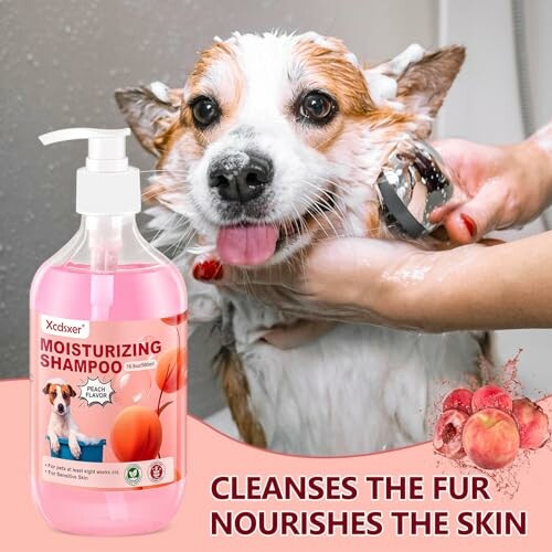 Dog being bathed with moisturizing shampoo.