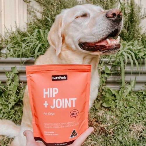 Happy dog beside a hip and joint supplement bag.