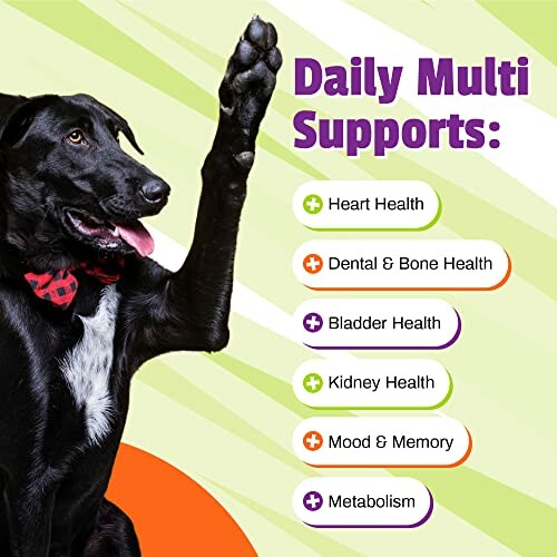 Black dog with raised paw next to health benefits list: heart, dental, bladder, kidney, mood, metabolism.