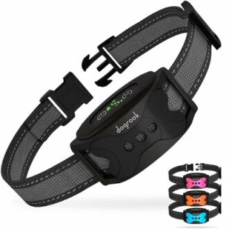 Dog training collar with adjustable strap and control buttons.