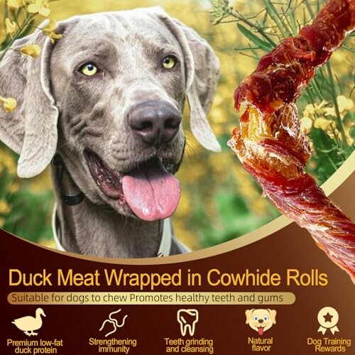 Dog treat with duck meat and cowhide, promoting dental health.