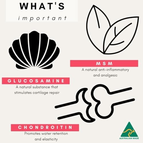 Illustration highlighting glucosamine, MSM, and chondroitin benefits.