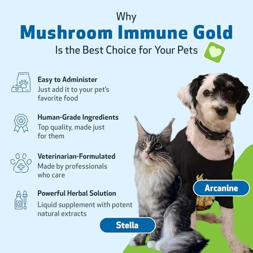 Advertisement for Mushroom Immune Gold featuring a dog and a cat with product benefits.