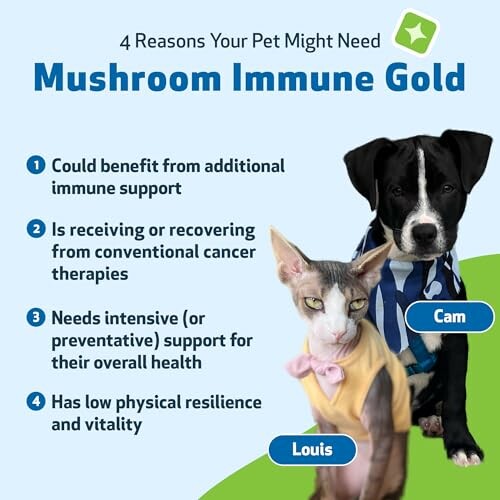 Reasons pets might need Mushroom Immune Gold with a cat and dog