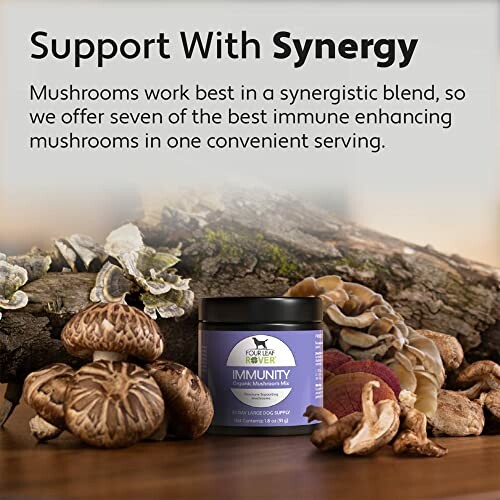 Mushroom supplement with various mushrooms on a log.