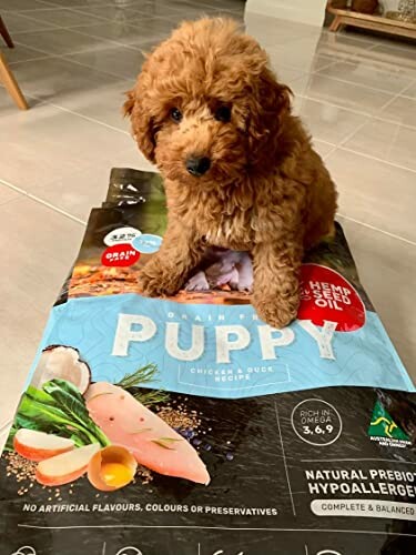 Cute puppy sitting on a dog food bag labeled 'Puppy Chicken and Duck Recipe.'