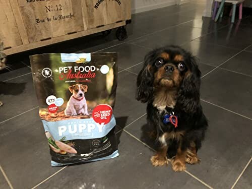 Puppy sitting next to a bag of Pet Food Australia.